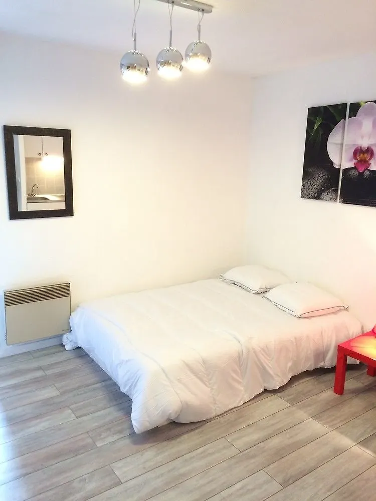 Sleep In Toulouse Toulouse Centre Apartment